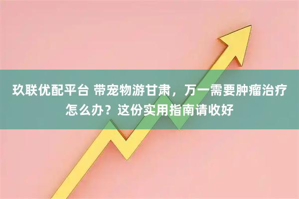 玖联优配平台 带宠物游甘肃，万一需要肿瘤治疗怎么办？这份实用指南请收好