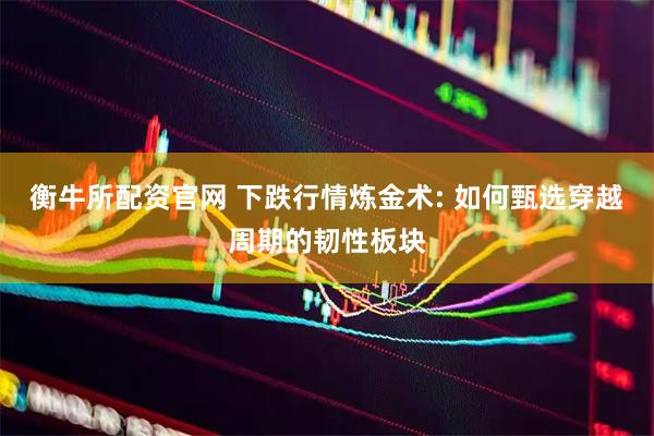 衡牛所配资官网 下跌行情炼金术: 如何甄选穿越周期的韧性板块