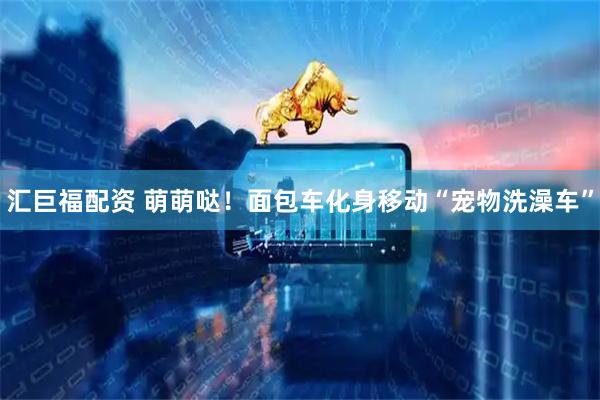 汇巨福配资 萌萌哒！面包车化身移动“宠物洗澡车”